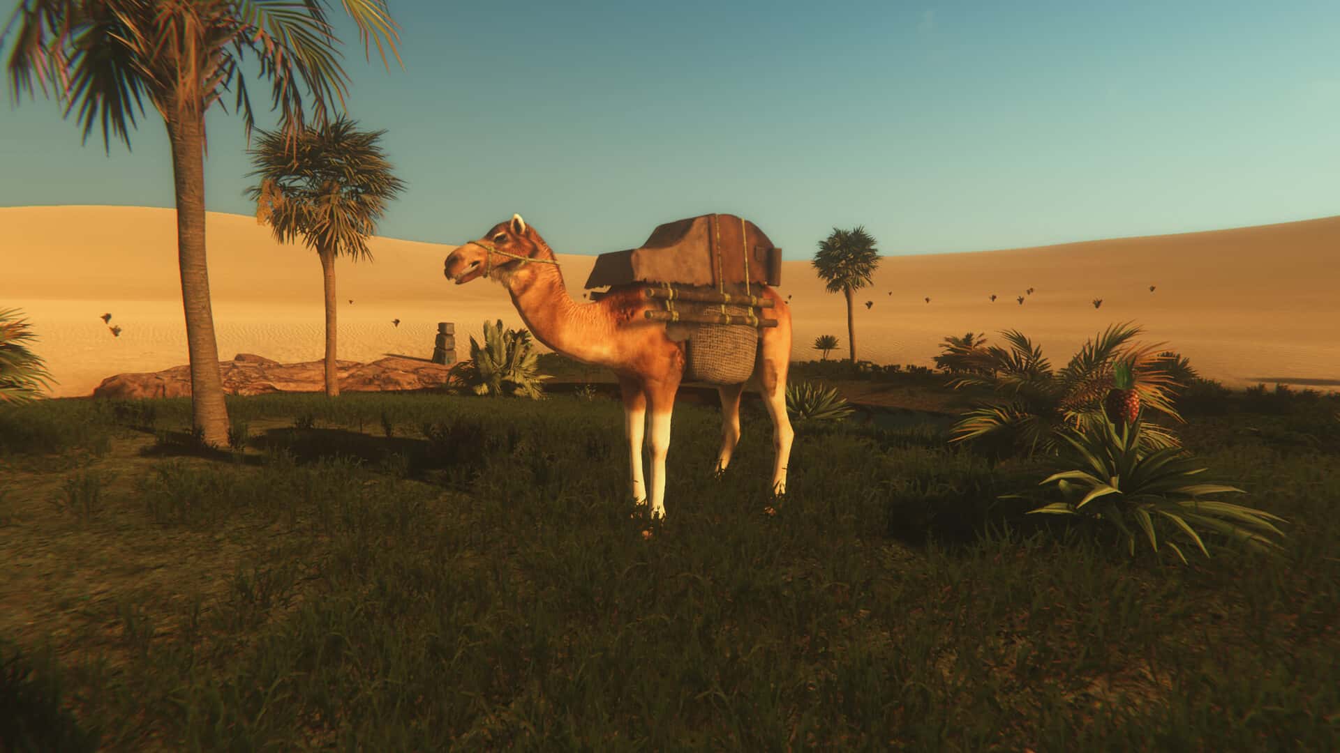 #2. Starsand - Digital Supporter Edition (GOG) 来自: Toplitz Productions