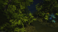 Creatura screenshot 1