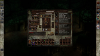 Icewind Dale: Enhanced Edition screenshot 9
