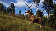 Way of the Hunter screenshot 2