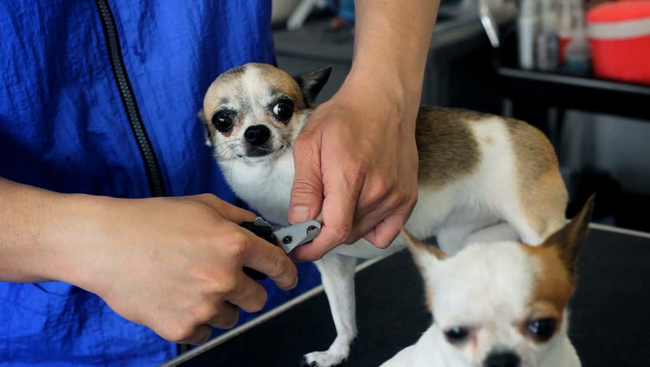 #3. Broforce: The Soundtrack (GOG) Podle: Devolver Digital