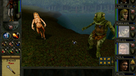 Wizards & Warriors screenshot 2
