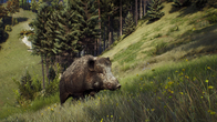 Way of the Hunter screenshot 4