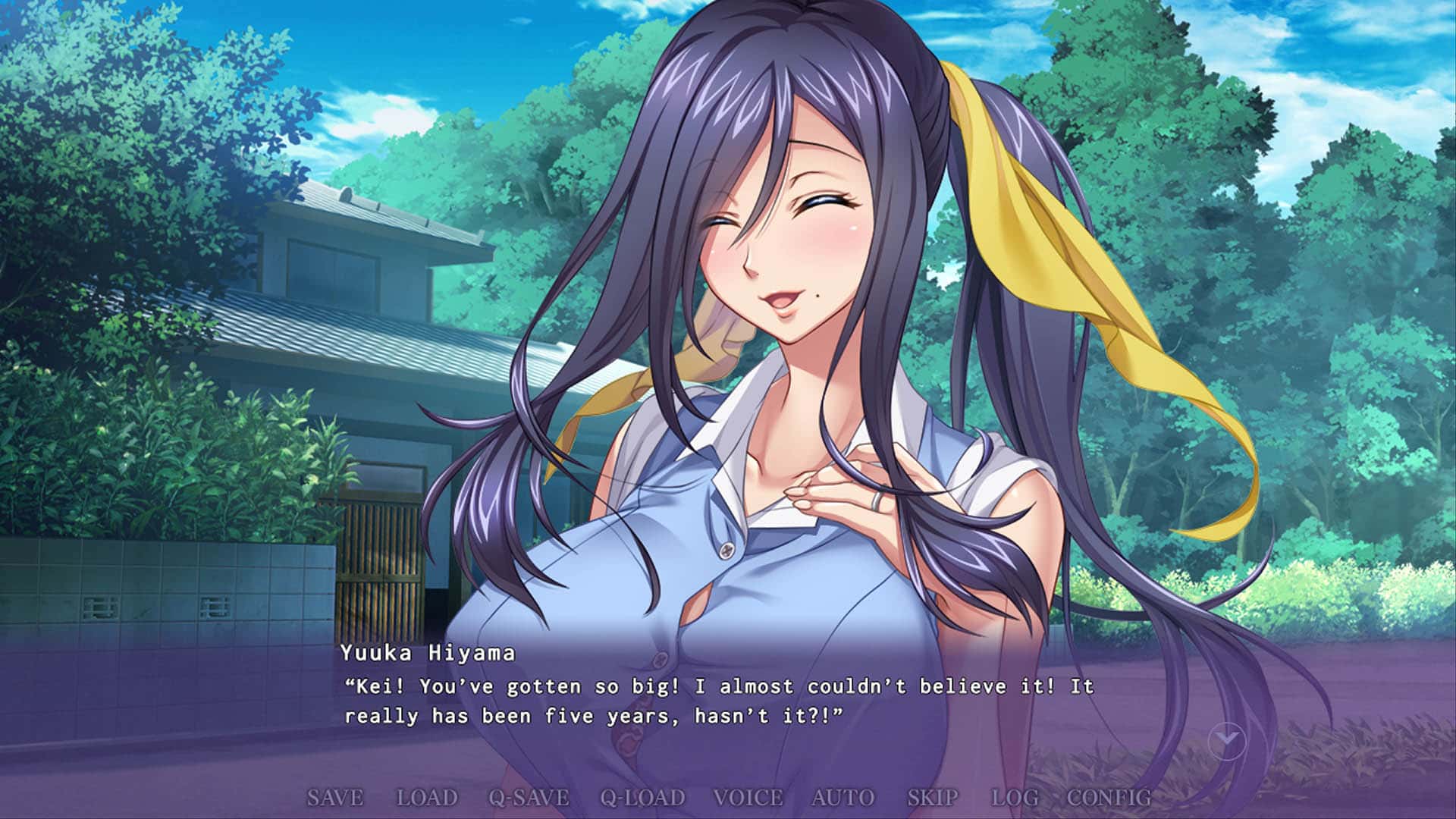 #3. An Aunt After My Own Heart UNRATED (GOG) 由: Shiravune