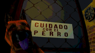 CANINE screenshot 6