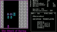 Shard of Spring screenshot 4