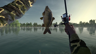 Ultimate Fishing Simulator screenshot 8