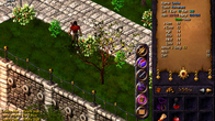 Revenant screenshot 5