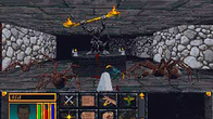 The Elder Scrolls: Arena screenshot 2