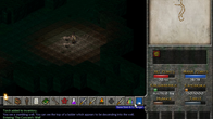 Eschalon: Book II screenshot 4