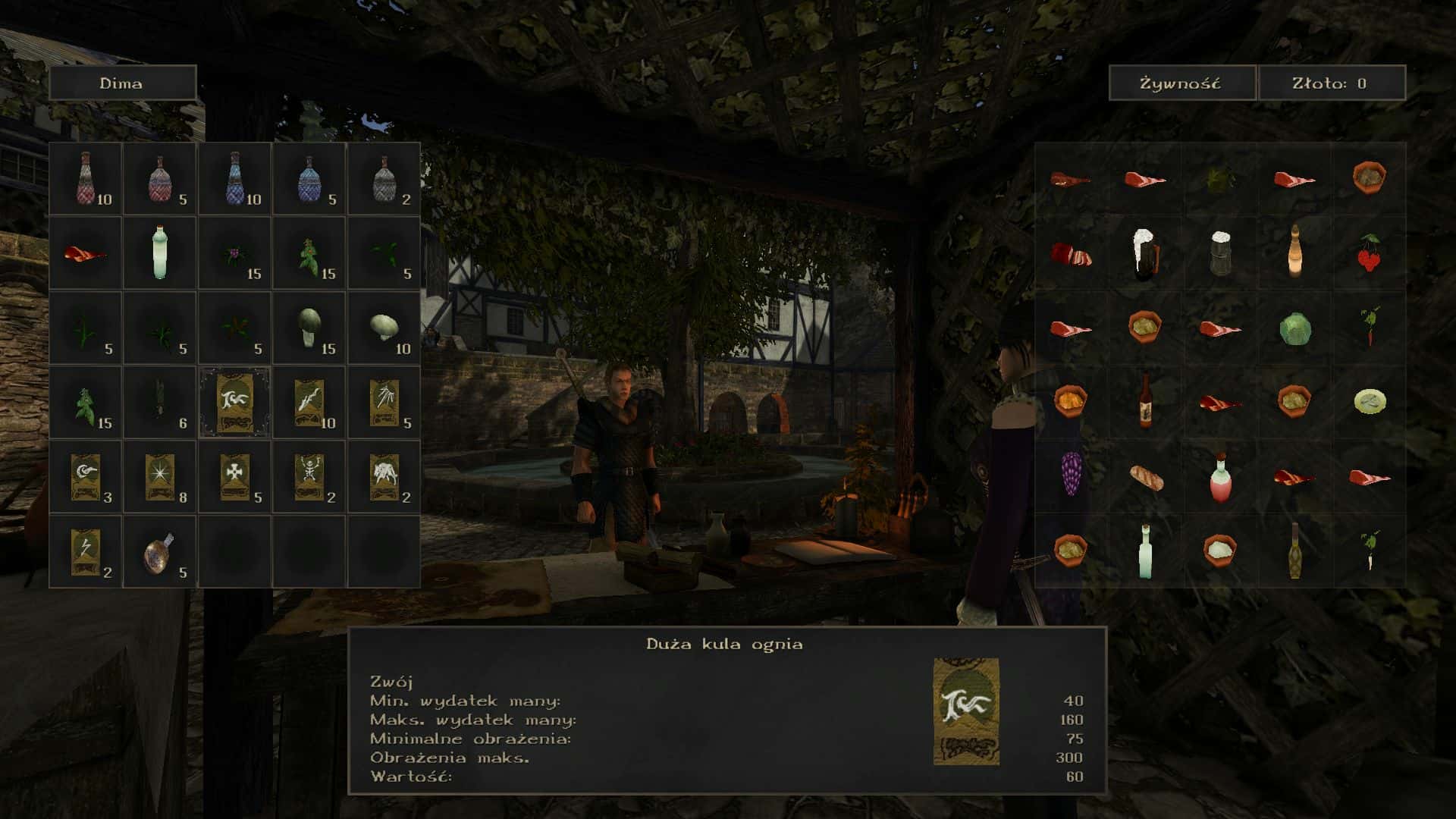 #7. The Chronicles Of Myrtana: Archolos (GOG) De: The Chronicles Of Myrtana Team