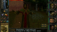 Wizards & Warriors screenshot 1
