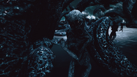 The Shore screenshot 12