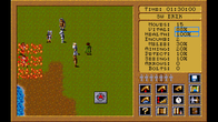 Paladin 2 screenshot 6