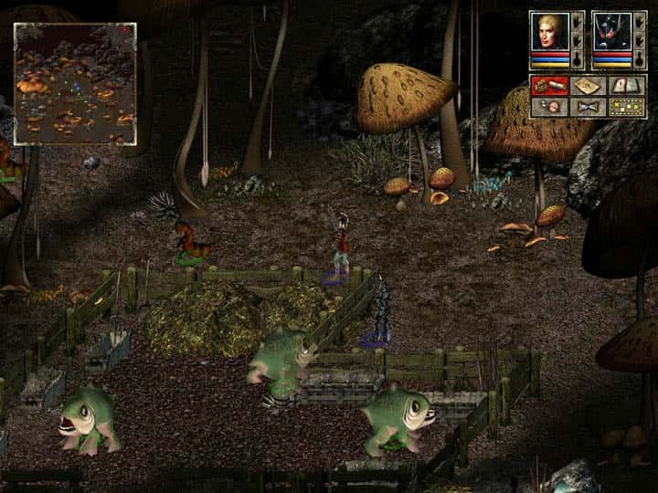 #5. Beyond Divinity (GOG) От: Larian Studios