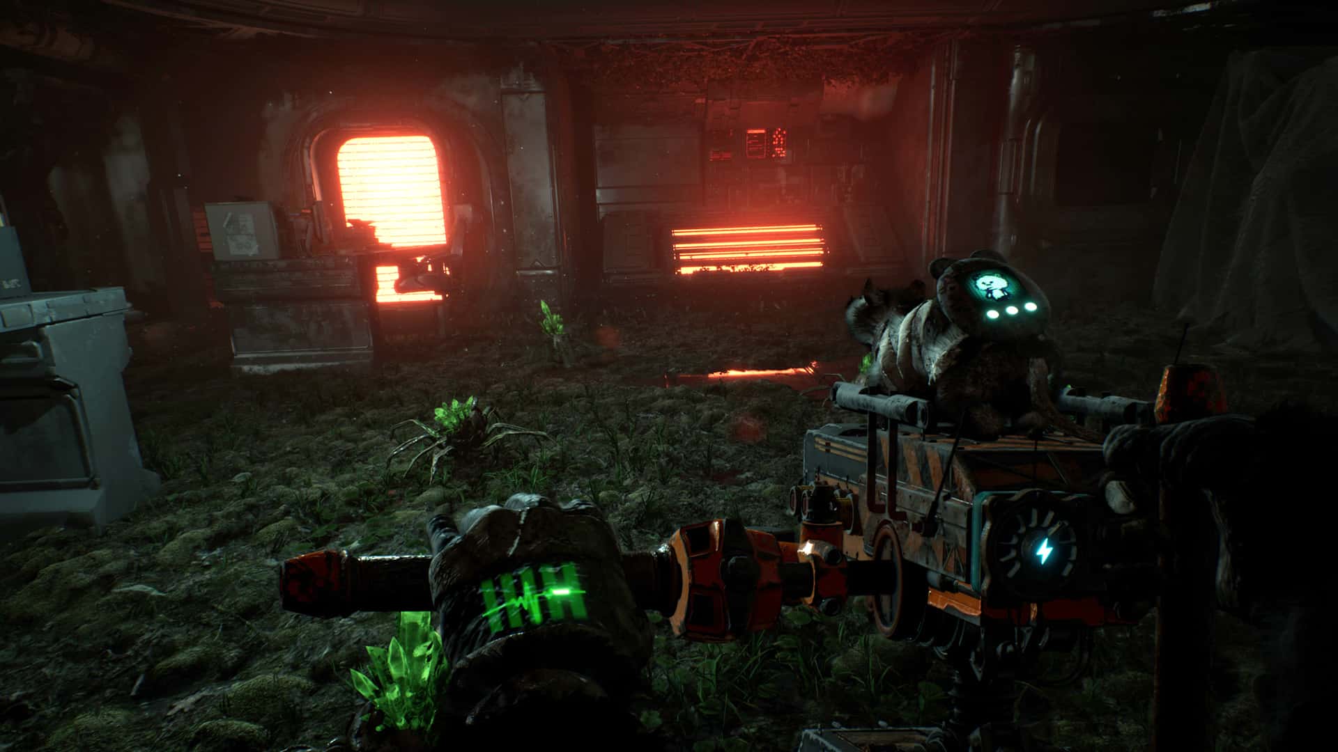 #5. ANIMAL USE PROTOCOL (GOG) От: The Brotherhood