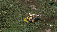 Sacred Gold screenshot 7