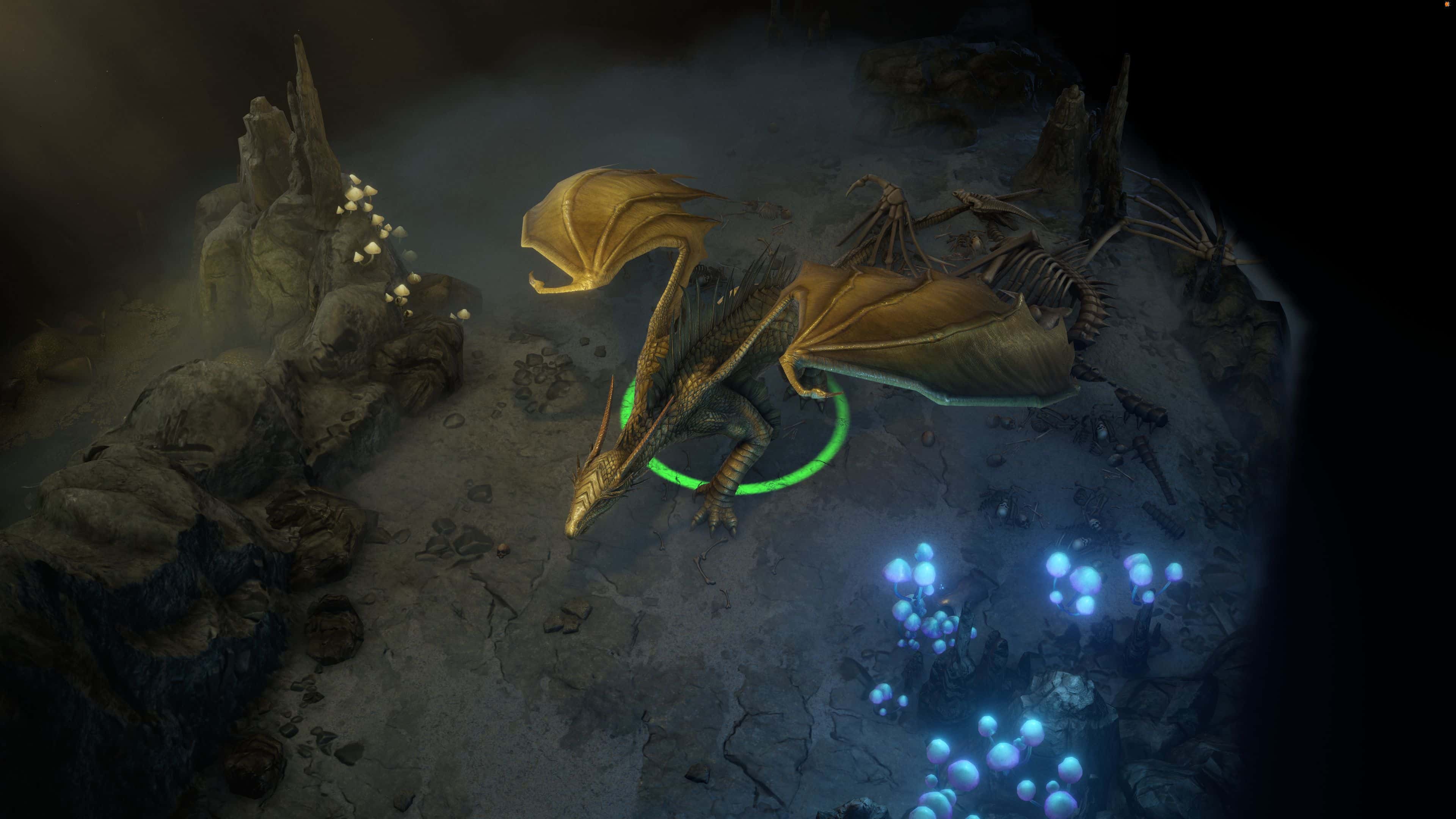 #1. Pathfinder: Wrath of the Righteous - Enhanced Edition (GOG) โดย: META Publishing