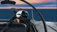Fleet Defender: The F-14 Tomcat Simulation screenshot 5