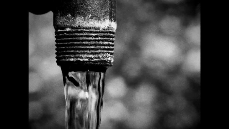 HORSES screenshot screenshot 5