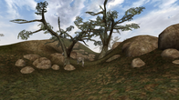 OpenMW screenshot 3