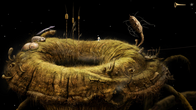 Samorost 3 screenshot 5