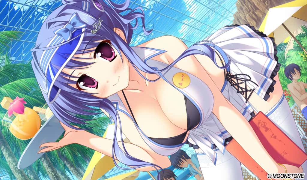 #4. Princess Evangile W Happiness (GOG) Bởi: MangaGamer