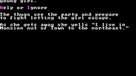Wizard's Crown screenshot 5