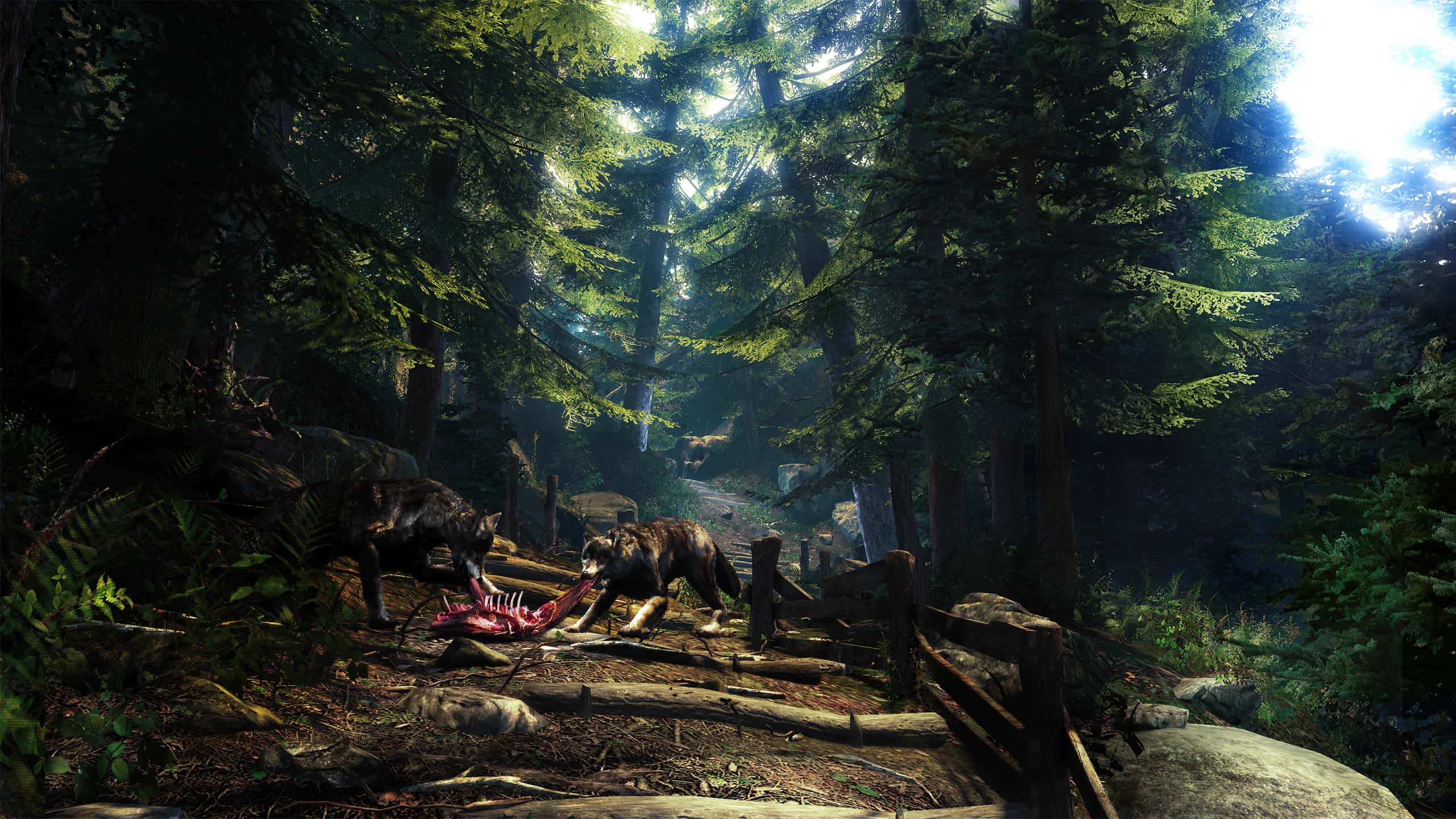 #5. Two Worlds II: Call of the Tenebrae (GOG) Bởi: TopWare Interactive