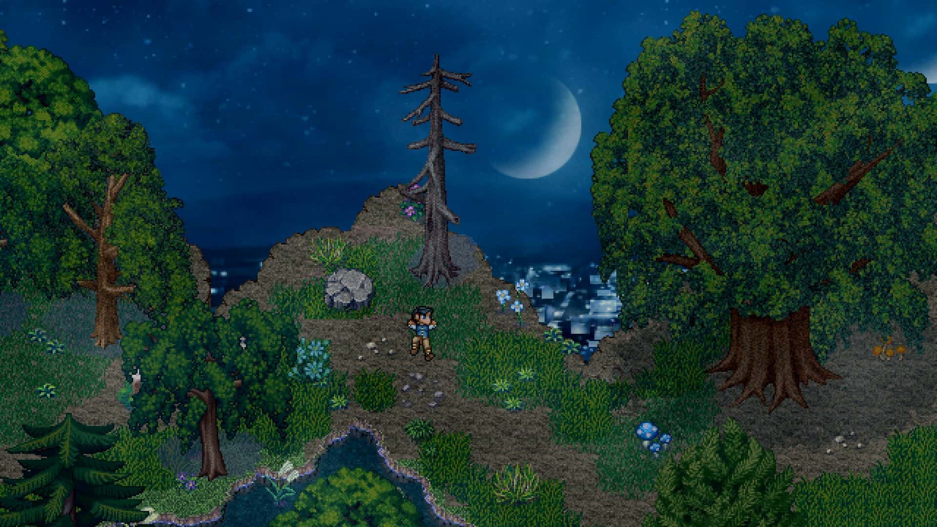 #1. Finding Paradise (GOG) 由: Freebird Games