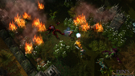 Din's Legacy screenshot 6